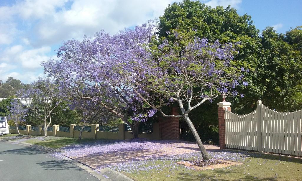 静谧花园度假民宿 Ormeau 外观 照片